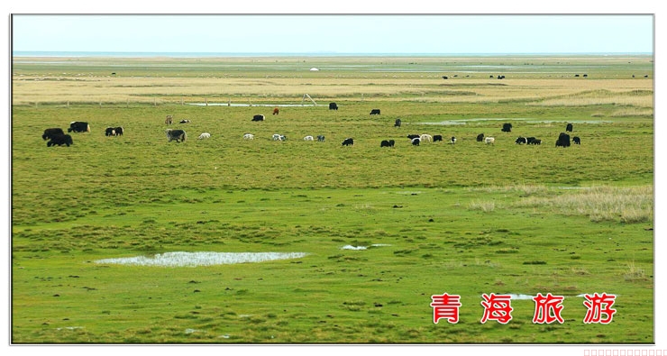 青海旅游